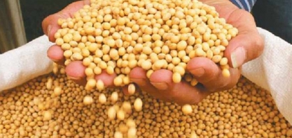 Soja: Exportação brasileira será aquecida no 1º semestre