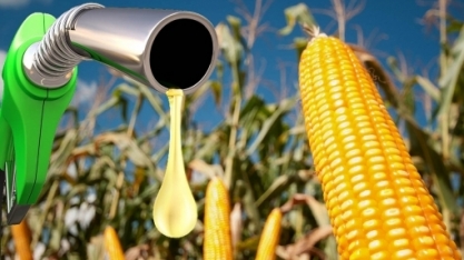 Grupo chinês quer produzir etanol de milho no Brasil 