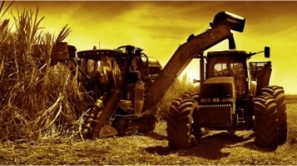 Açúcar inicia ano em queda e demanda sustenta etanol, indica Cepea  