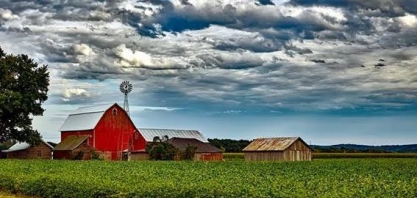Recuperações judiciais no setor agrícola dos EUA têm maior nível em 8 anos