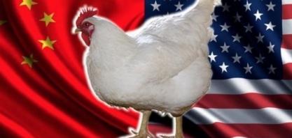 As carnes devem cooperar no acordo EUA e China