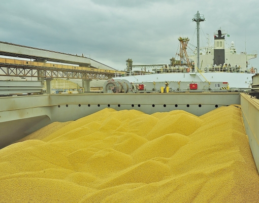 Programação de embarque de soja do Brasil à China aponta queda este mês 