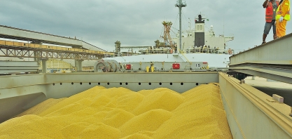 Programação de embarque de soja do Brasil à China aponta queda este mês 