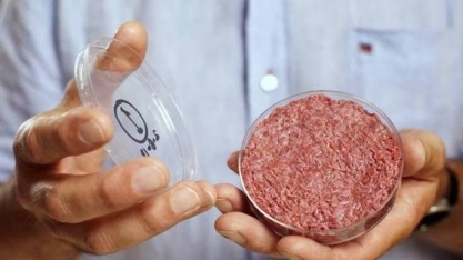 Carne de laboratório tenta ganhar escala para chegar ao supermercado