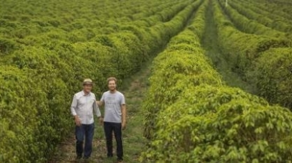 Cafés especiais ajudam produtores de Minas a conquistar novos mercados