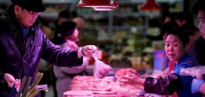 China prevê importar mais carne suína