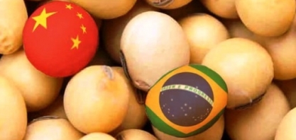 Importação de soja da China crescerá em 2020,diz ministério da Agricultura
