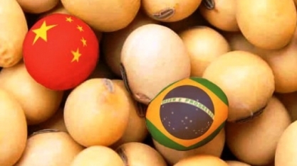 Importação de soja da China crescerá em 2020,diz ministério da Agricultura