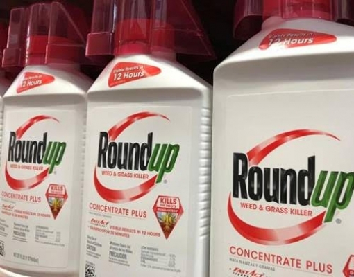 Roundup: Julgamento da Bayer é adiado; negociação de acordo prosseguirá