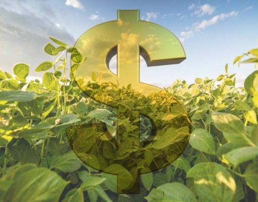 Valor recorde da produção agropecuária