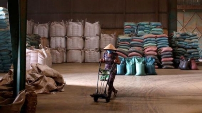 Vietnã vê queda de mais de 30% na exportação de café em janeiro