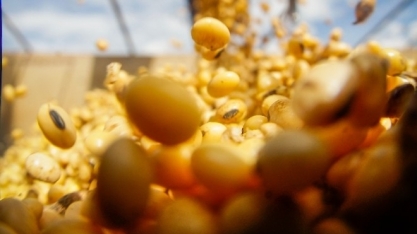 Exportação do agro cai em 2019, mas receitas beiram US$ 1 tri em dez anos