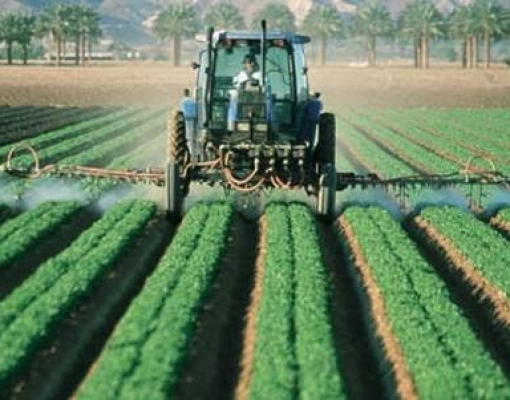 Ministério dá licença a agrotóxicos não analisados em 60 dias