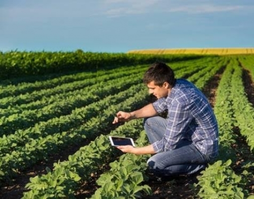 Nova geração começa a assumir agronegócio