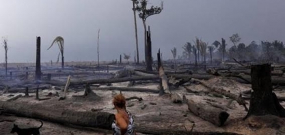Congresso pode liberar fazendas para desmatar até 50% de terras na Amazônia