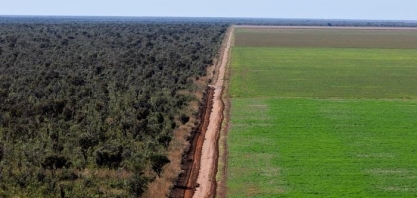 Desmatamento ilegal em latifúndios avança sobre o Cerrado