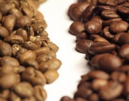 Café: Estimativa de safra é 75% de arábica e 25% de conilon