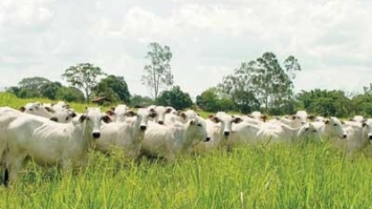 Os efeitos colaterais do coronavírus