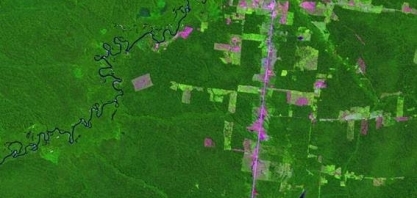 Desmatamento amazônico dobrou, mostram imagens de satélite