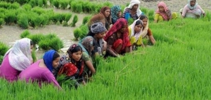 Índia amplia recursos para agricultura para cerca de US$40 bi