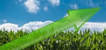 PIB do agronegócio cresce 2,4% de janeiro a novembro de 2019