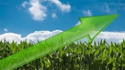 PIB do agronegócio cresce 2,4% de janeiro a novembro de 2019