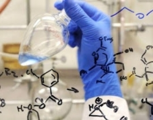 Tecnologia transforma resíduo agrícola em produto químico de alto valor 