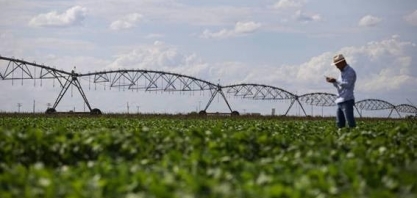 USDA eleva safra e exportação de soja do Brasil em 19/20 