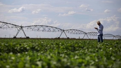 USDA eleva safra e exportação de soja do Brasil em 19/20 