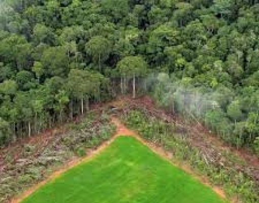 BNDES atende o campo e libera exigência ambiental 