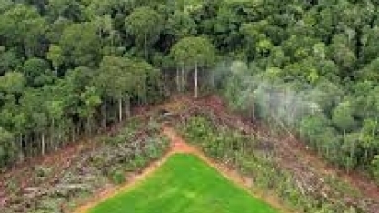 BNDES atende o campo e libera exigência ambiental 