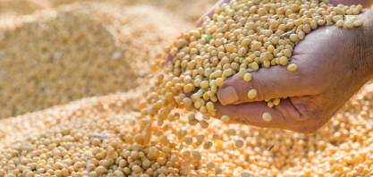 Clima favorece e safra de grãos deve ser record