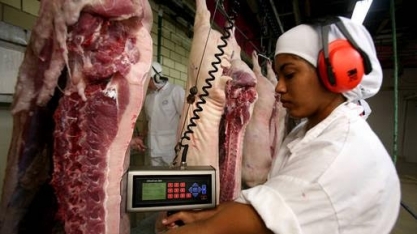 Carne suína:Exportação cresce 41% em janeiro; vendas à China disparam 252% 