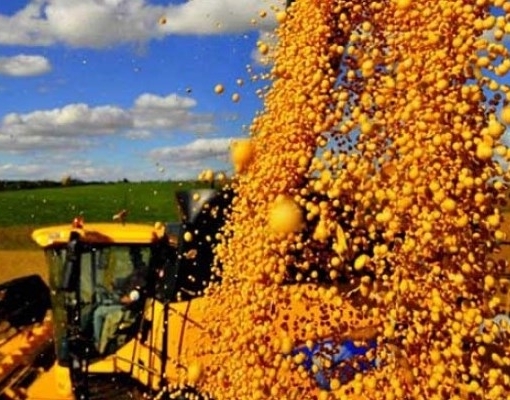 Bunge apresenta proposta para aquisição de duas plantas de soja no Brasil