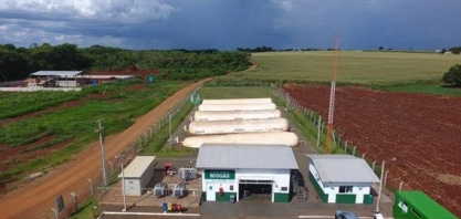 A energia que vem dos porcos:  A revolução do “pré-sal caipira”