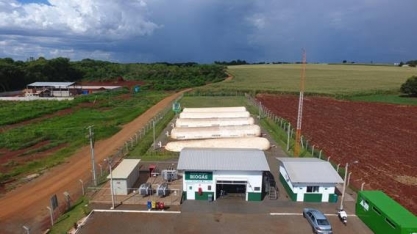 A energia que vem dos porcos:  A revolução do “pré-sal caipira”