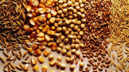 Conab apresenta novo recorde de grãos que chega a 251 milhões de toneladas