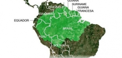 Mentira verde: Como a destruição da Amazônia vai além do desmatamento