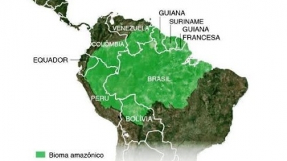 Mentira verde: Como a destruição da Amazônia vai além do desmatamento