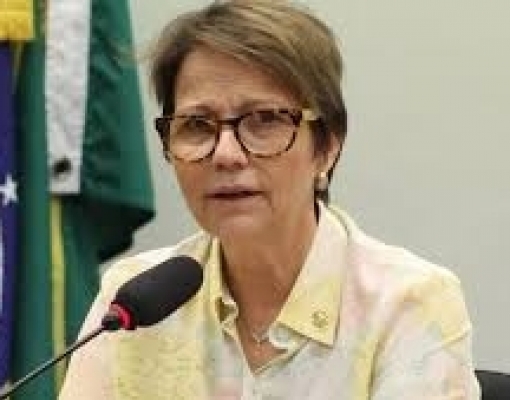 Caminho para a Índia 