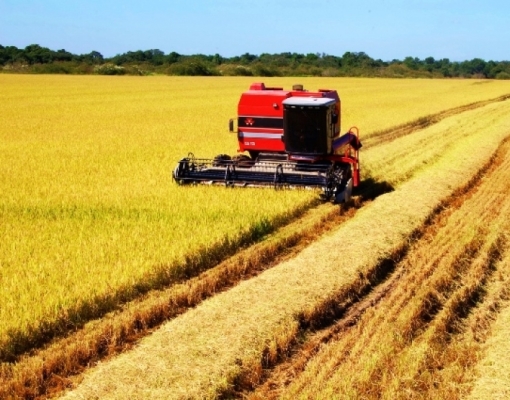 Safras aumenta previsão de colheita de soja para recorde de 124,6 mi t  