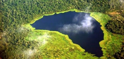 Desenvolvimento sustentável da Amazônia - Por João Lara Mesquita