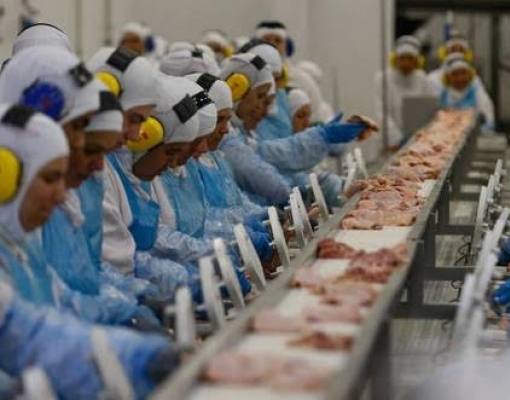 Liberação da carne brasileira vira guerra digital nos EUA