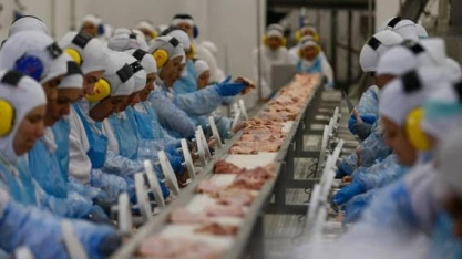 Liberação da carne brasileira vira guerra digital nos EUA