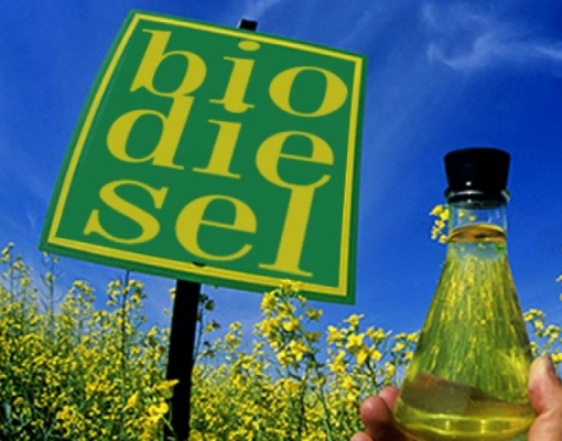 Biodiesel terá mistura de 12% a partir de março 