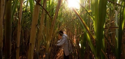 Plataforma de inovação do agro reúne 18 parceiros e seleciona startups