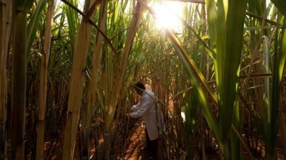 Plataforma de inovação do agro reúne 18 parceiros e seleciona startups