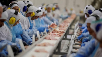 Exportação de carne de frango do Brasil cresce 14,9% em janeiro