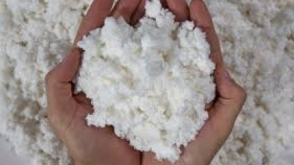 Produção de celulose no Brasil recua 7,2% em dezembro