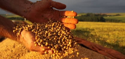 Exportação de soja perde ritmo ante o início de março, diz Secex 